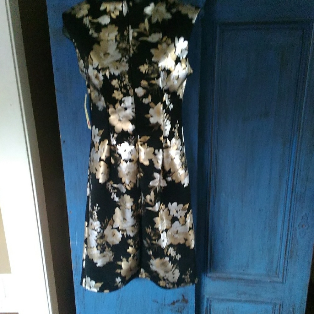 Tacera Gold, Silver and Black Dress